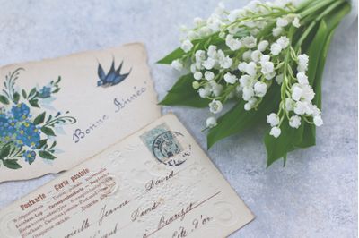 小野市の子供向け英会話教室特集