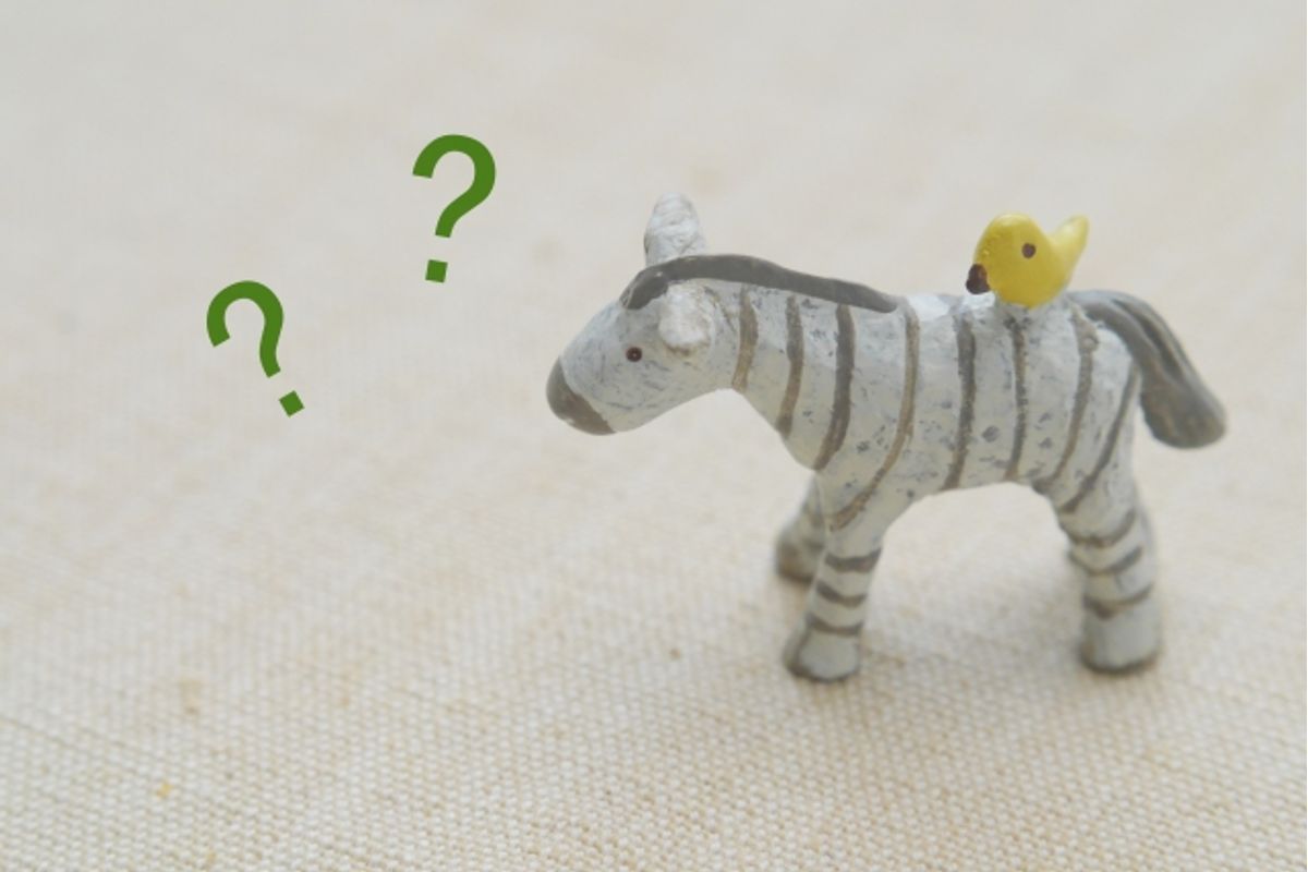 子供が習い事をやめる理由は やめるタイミングや辞め方も紹介 子供の習い事の体験申込はコドモブースター 子供が習い事をやめる理由は やめるタイミングや辞め方も紹介 子供の習い事の体験申込はコドモブースター