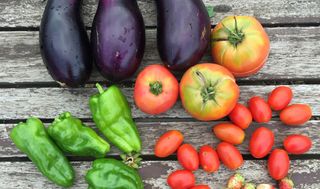 シェア畑 宮前平9