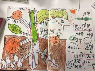 探究学習塾RAKUTO ひばりヶ丘校3