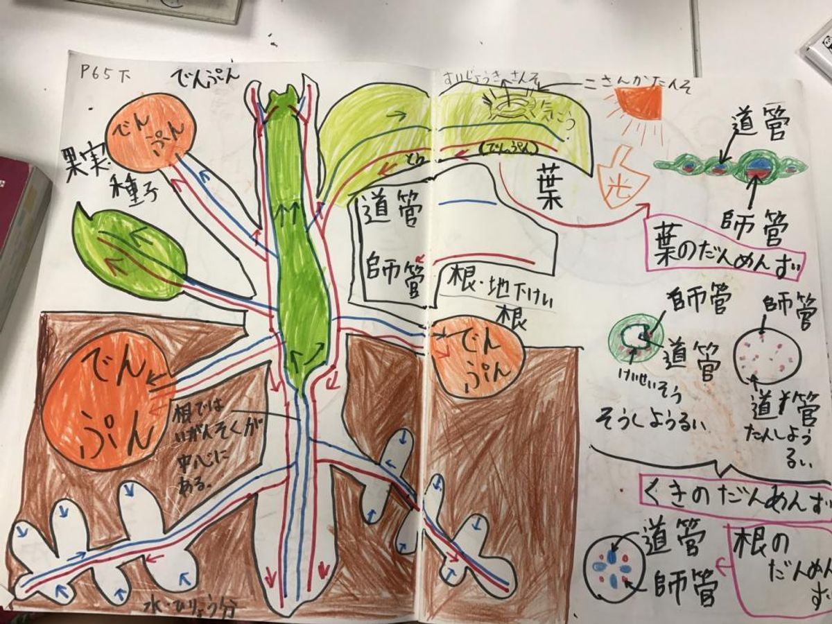 探究学習塾RAKUTO ひばりヶ丘校3