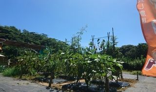 シェア畑 教室 1