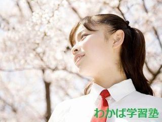 わかば学習塾 教室 0