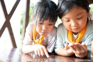 ガールスカウト 新潟県第23団9