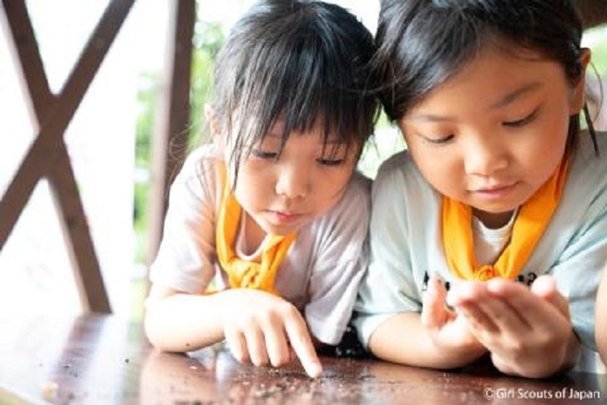 ガールスカウト 新潟県第23団9