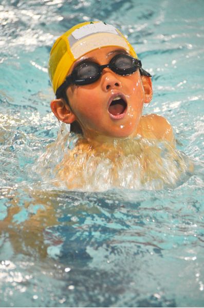 子供にバタフライの泳ぎ方を教える キックや手の動きのコツも 子供の習い事の体験申込はコドモブースター