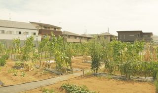 シェア畑 体験農園 教室 1