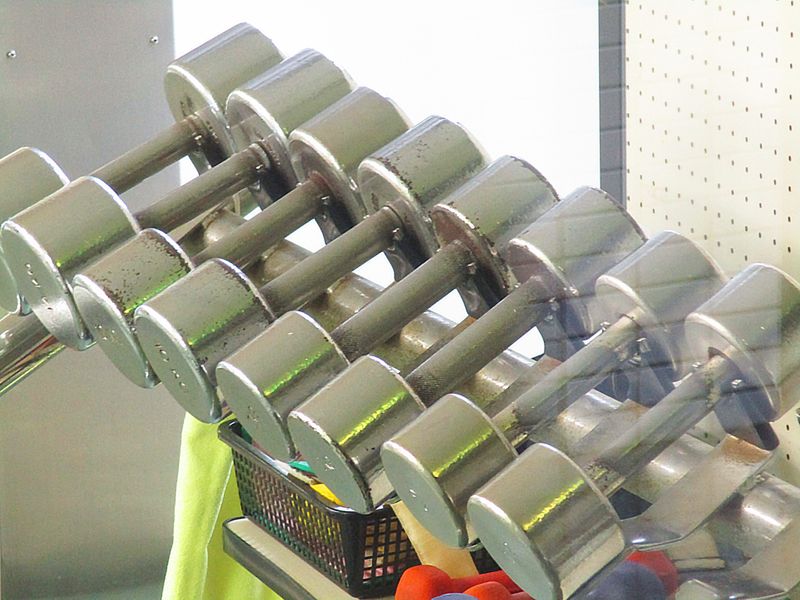 子供にレスリングを習わせるメリット・デメリットは?月謝相場も紹介!