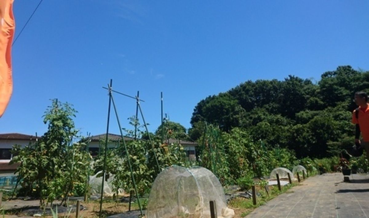 シェア畑 戸塚舞岡2