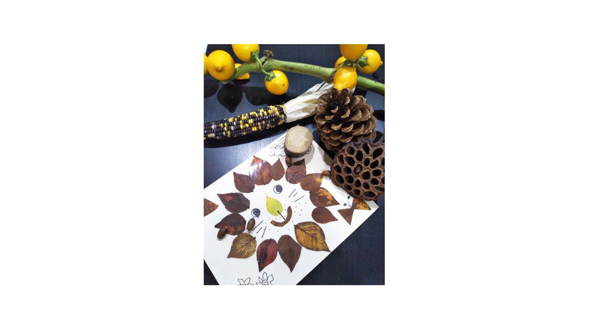 こどもアトリエからふる 教室 0