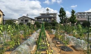 シェア畑 教室 1