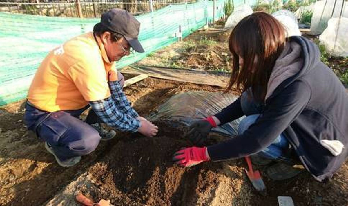 シェア畑 さいたま与野3