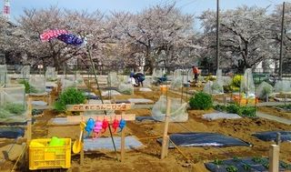 シェア畑 さいたま与野8