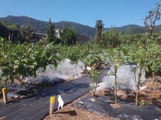 シェア畑 教室 2