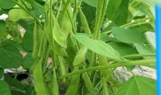 シェア畑 教室 4