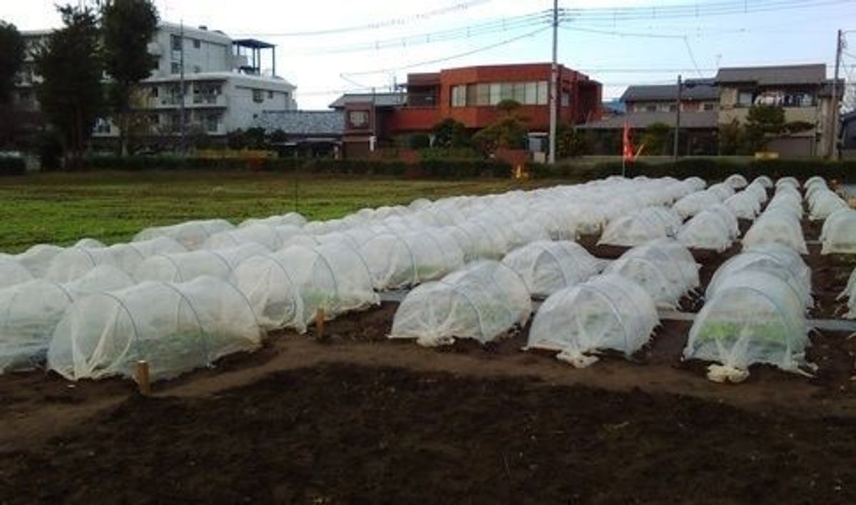 シェア畑 大宮堀の内14