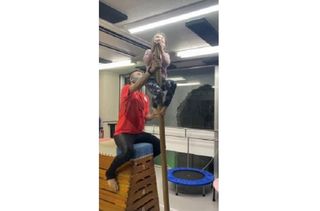 Peby College【運動・体操・陸上】 板橋キャンパス14