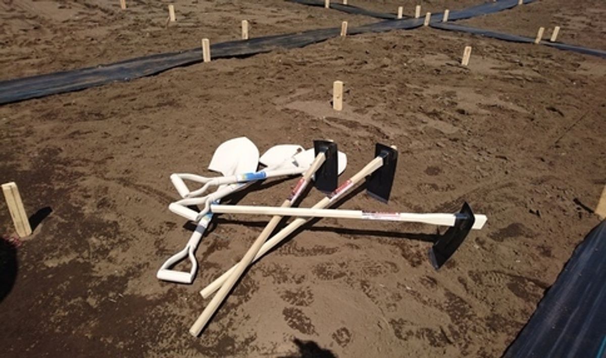 シェア畑 浜田山10