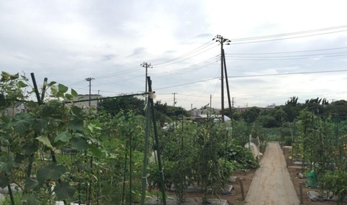 シェア畑 教室 2