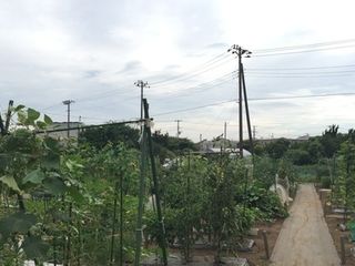 シェア畑 教室 2