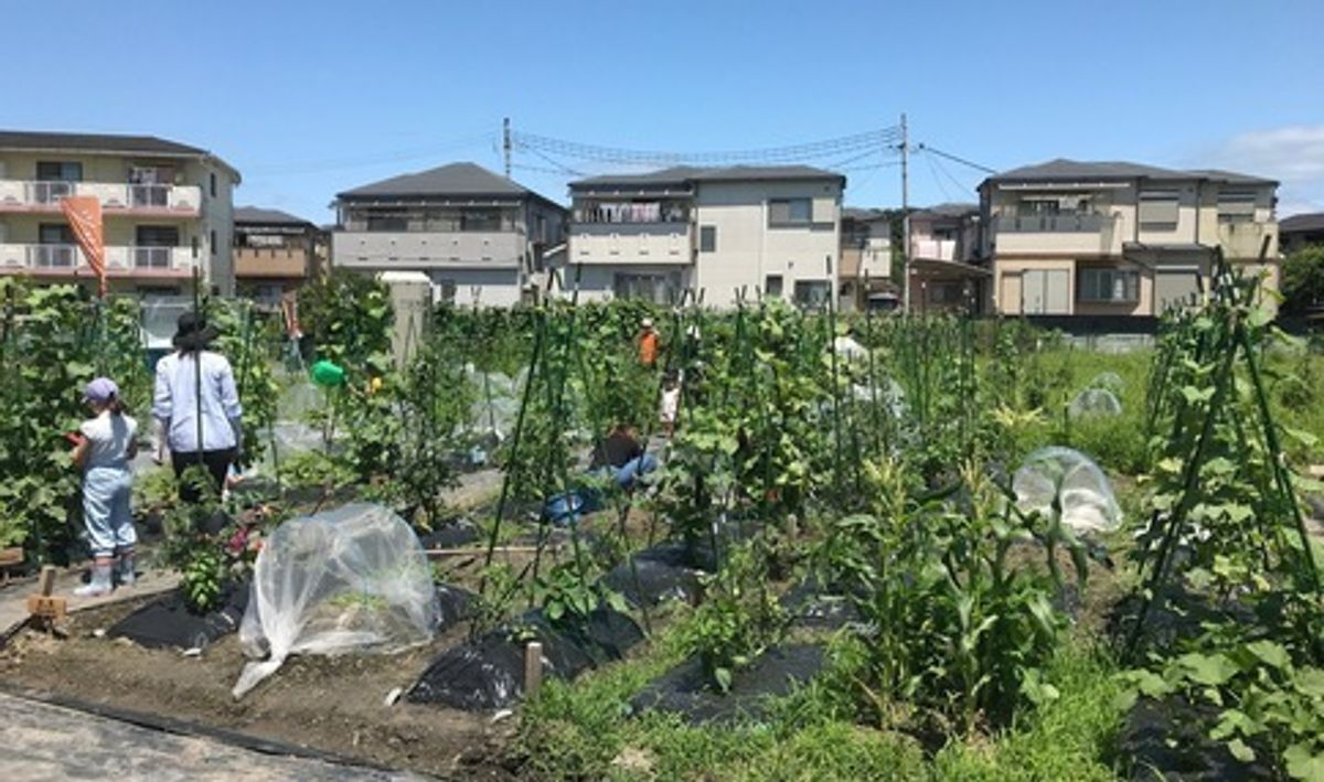 シェア畑 吹田岸部2