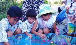 シェア畑 川崎多摩6