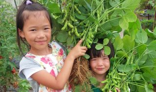 シェア畑 教室 3