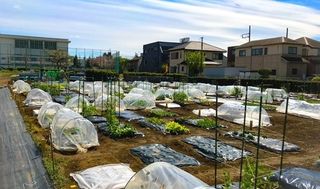 シェア畑 教室 1