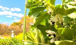 シェア畑 教室 3