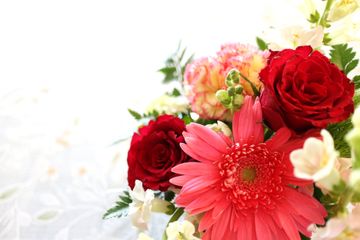 子供の習い事に花(華道・フラワーアレジメント)を選ぶメリット・デメリットは? 気になる月謝相場も合わせて紹介!