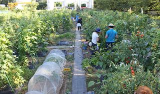 シェア畑 教室 2