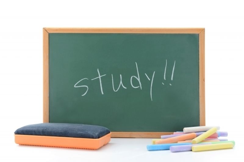 東大和市駅周辺で通える子供向け英会話教室2選。サークル感覚のレッスン