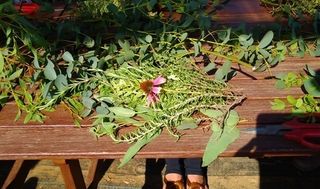 シェア畑 さいたま与野16