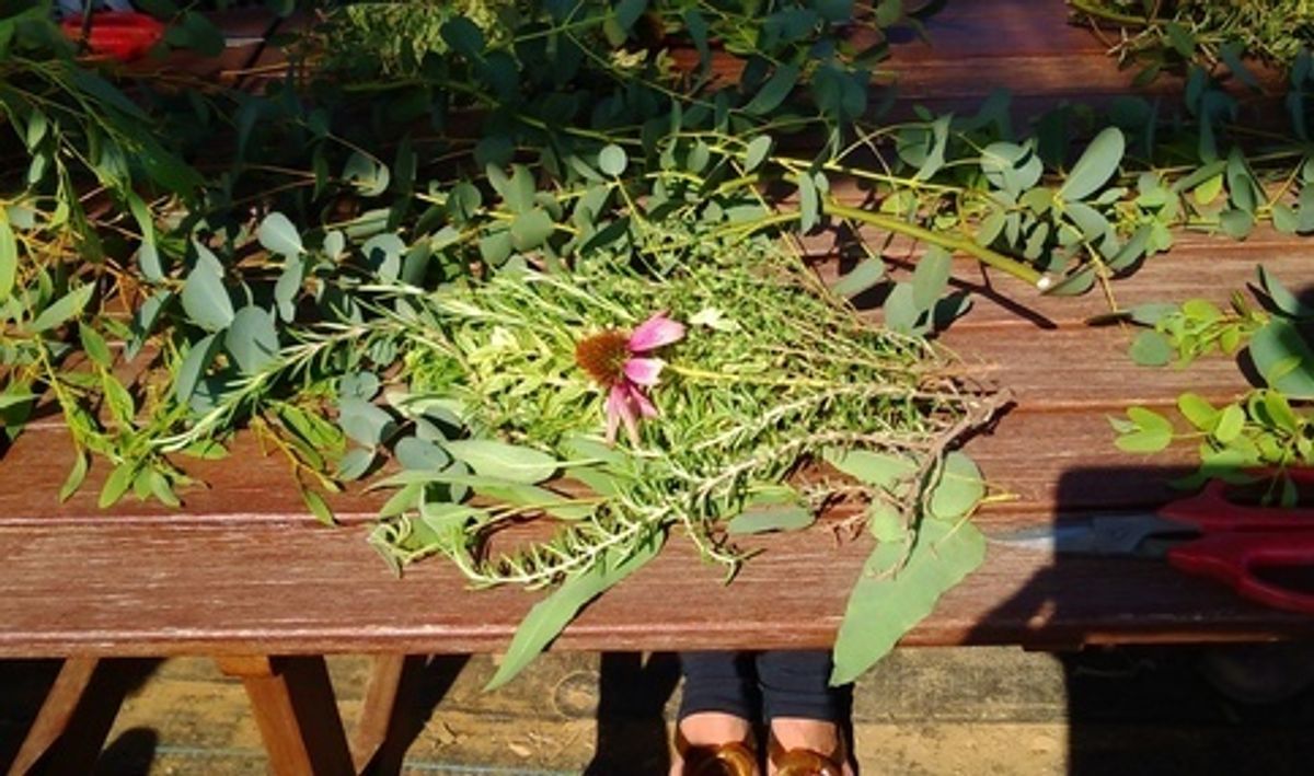 シェア畑 さいたま与野16