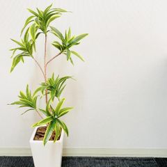 個別指導のアルファゼミナール 阿賀野センター6