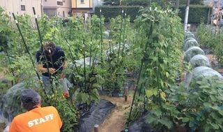 シェア畑 教室 1