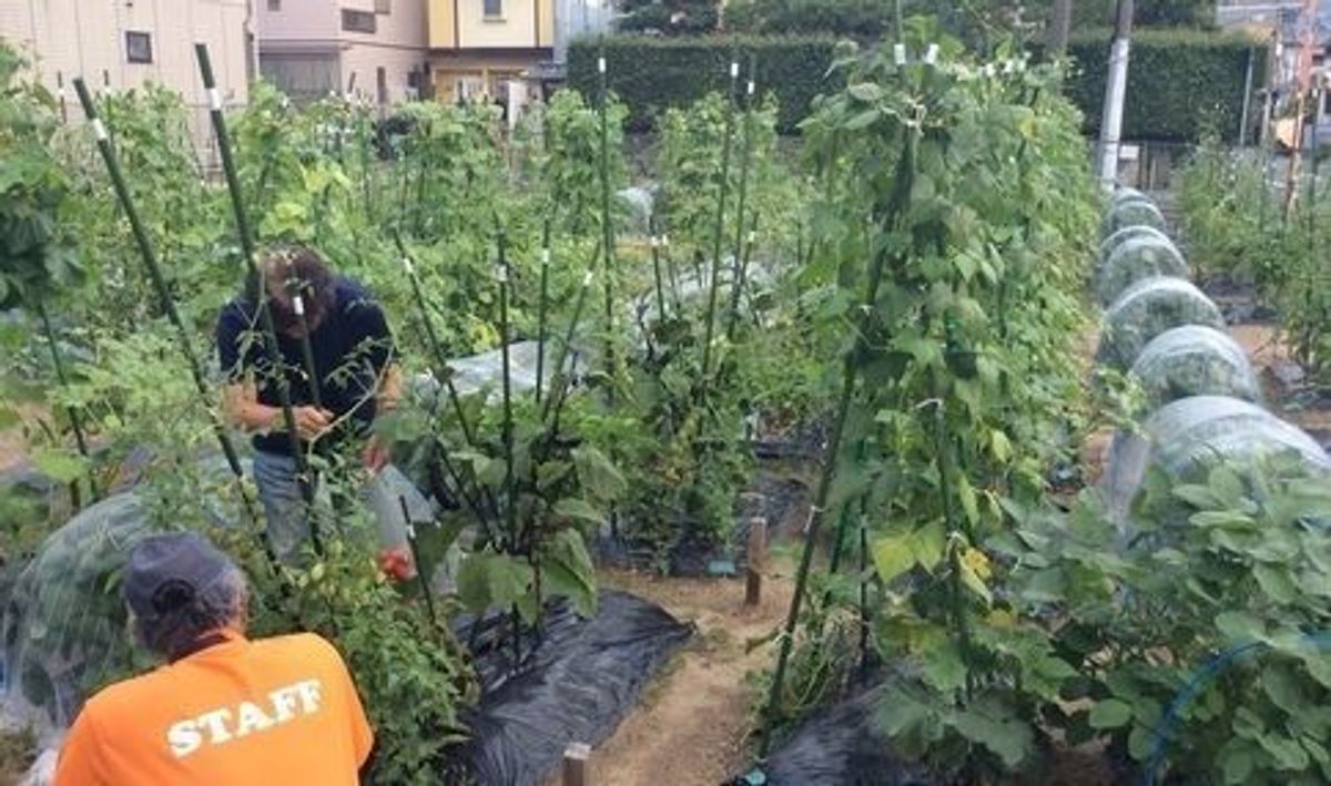 シェア畑 武庫川2