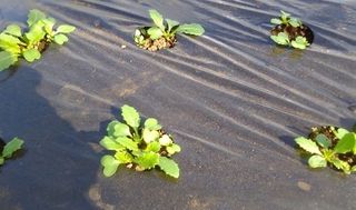 シェア畑 教室 3