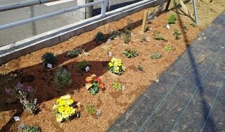 シェア畑 教室 3