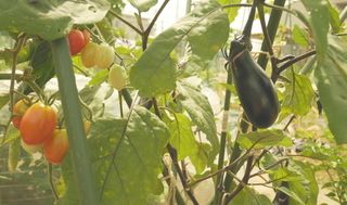 八潮駅サウスファーム6