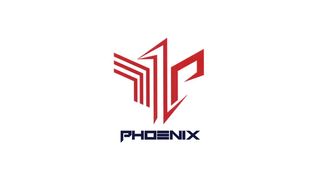 PHOENIX Football Academy