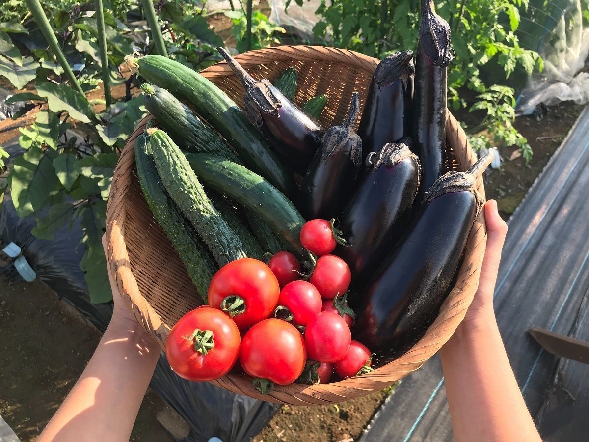 八潮駅サウスファーム16