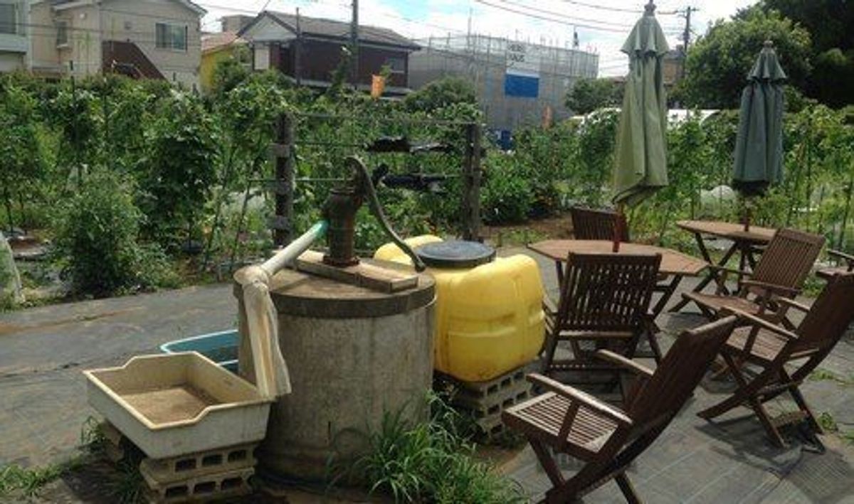 シェア畑 駒沢9