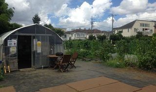 シェア畑 駒沢6