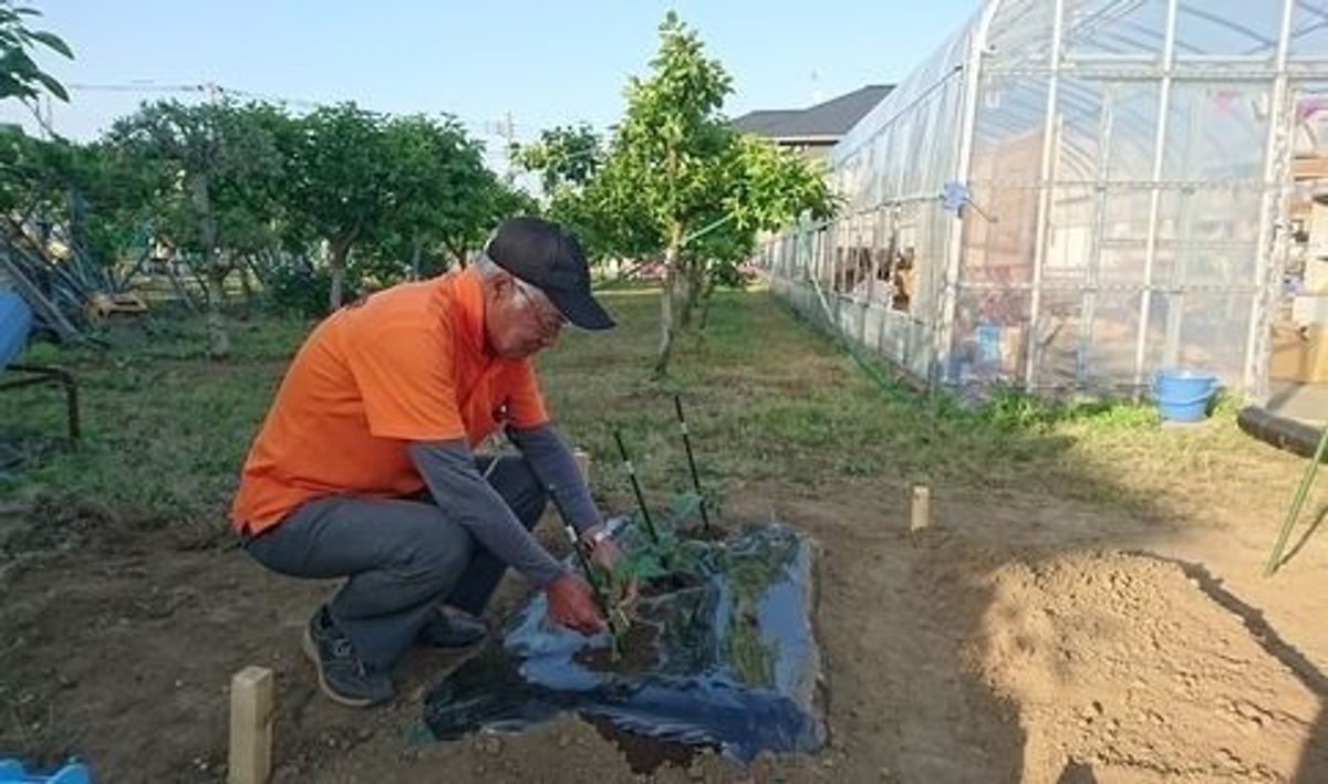 シェア畑 練馬桜台4