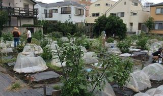 シェア畑 教室 2