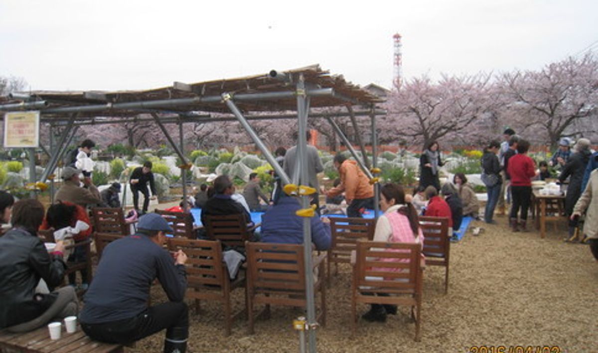 シェア畑 さいたま与野9