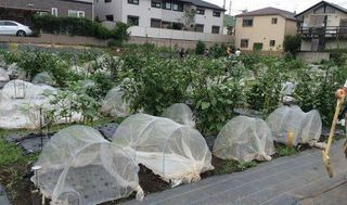 シェア畑 教室 4