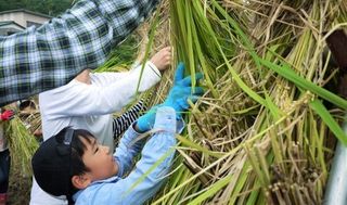 シェア畑 教室 3