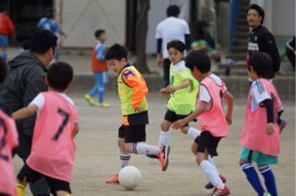 百合台サッカークラブ 口コミ 体験申込 子供の習い事口コミ検索サイト コドモブースター 百合台サッカークラブ 口コミ 体験申込 子供の習い事口コミ検索サイト コドモブースター